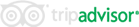 Trip Advisor Logo