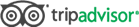 Trip Advisor Logo