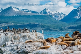 Know more about Ushuaia